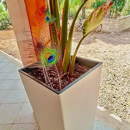 Costanza Dom wakacyjny