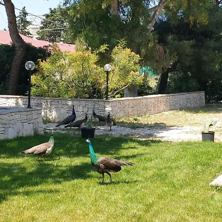 Costanza Dom wakacyjny *