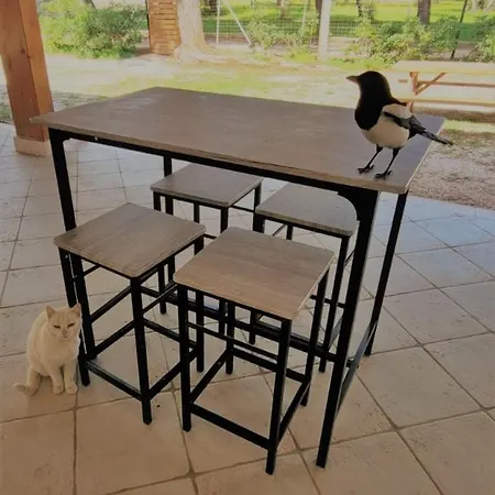 Casa de Férias Costanza