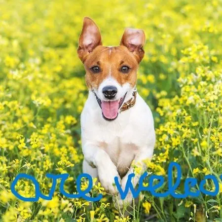 Costanza Dom wakacyjny