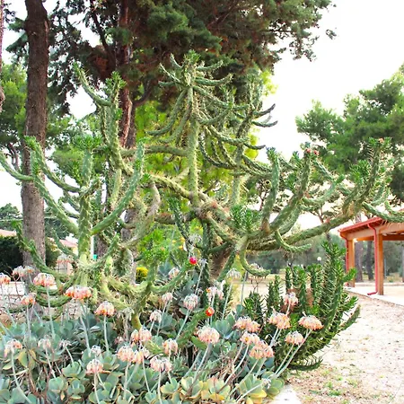 Casa de Férias Costanza