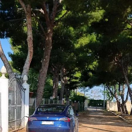 Costanza * Bari