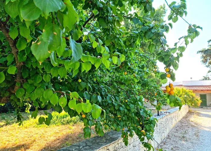 Costanza בית נופש